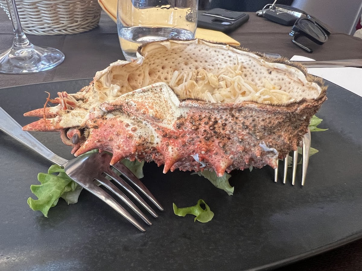 Piatto del menù Menu turistico