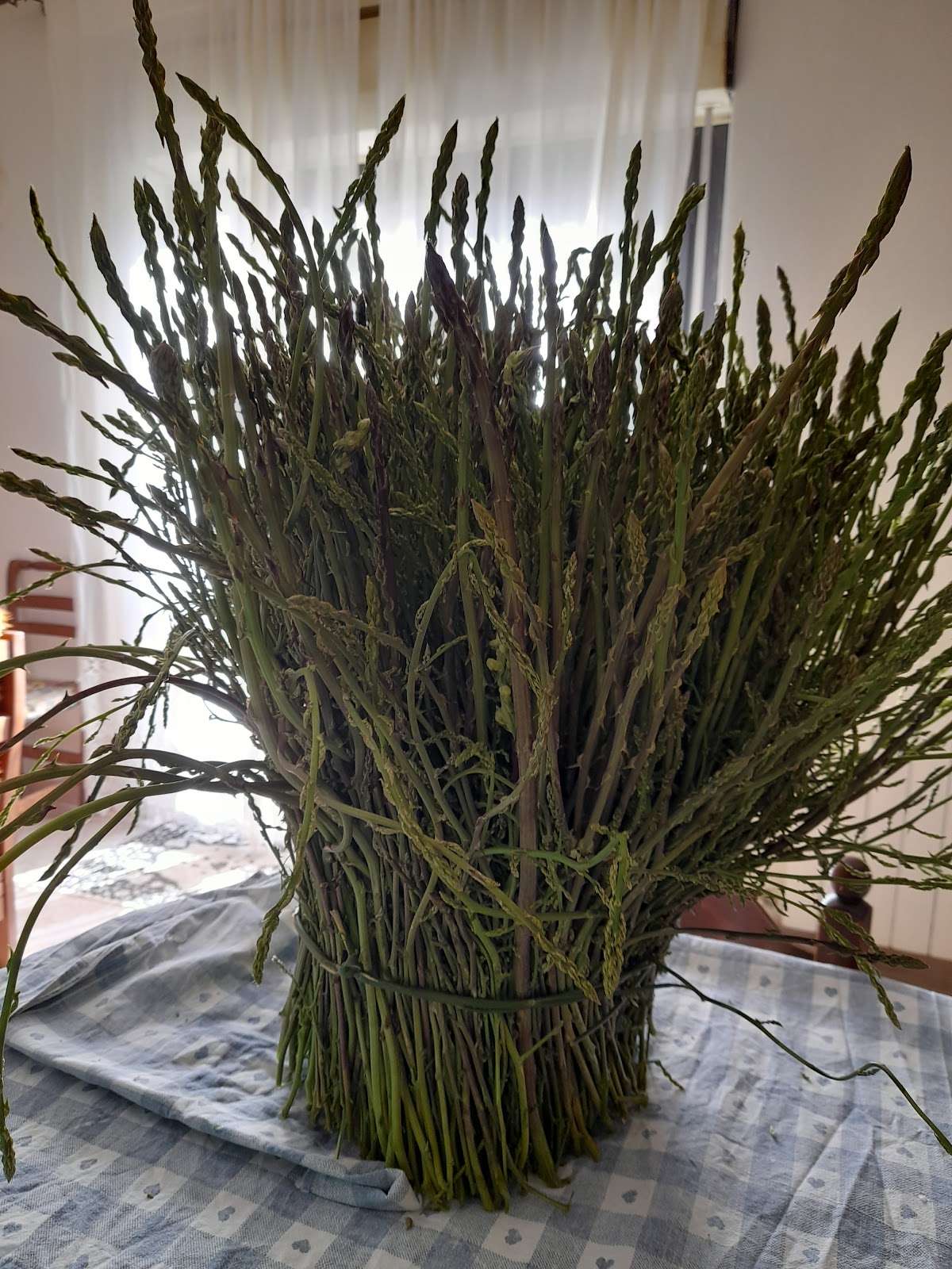 Foto 2 di La Locanda Ta Nonna Tuta