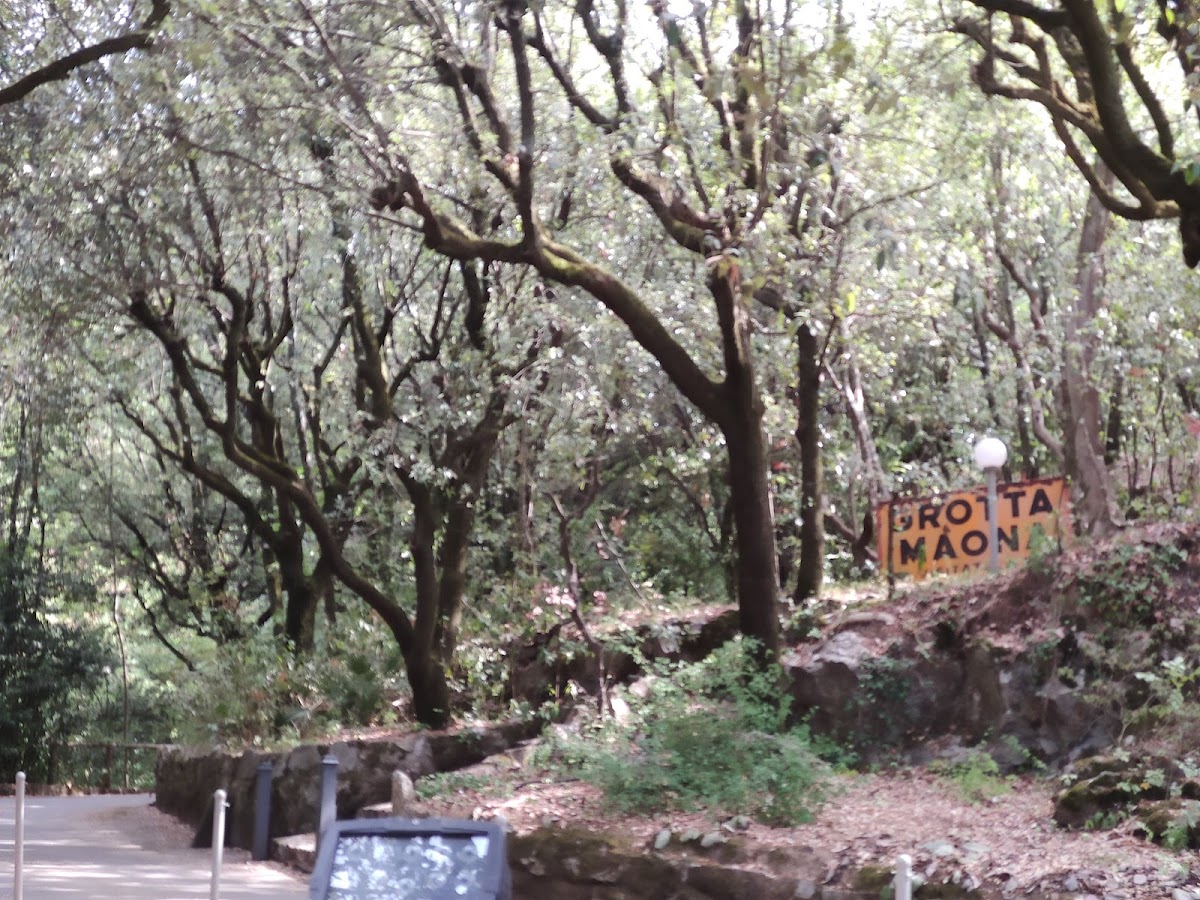 Foto 4 di GROTTA MAONA