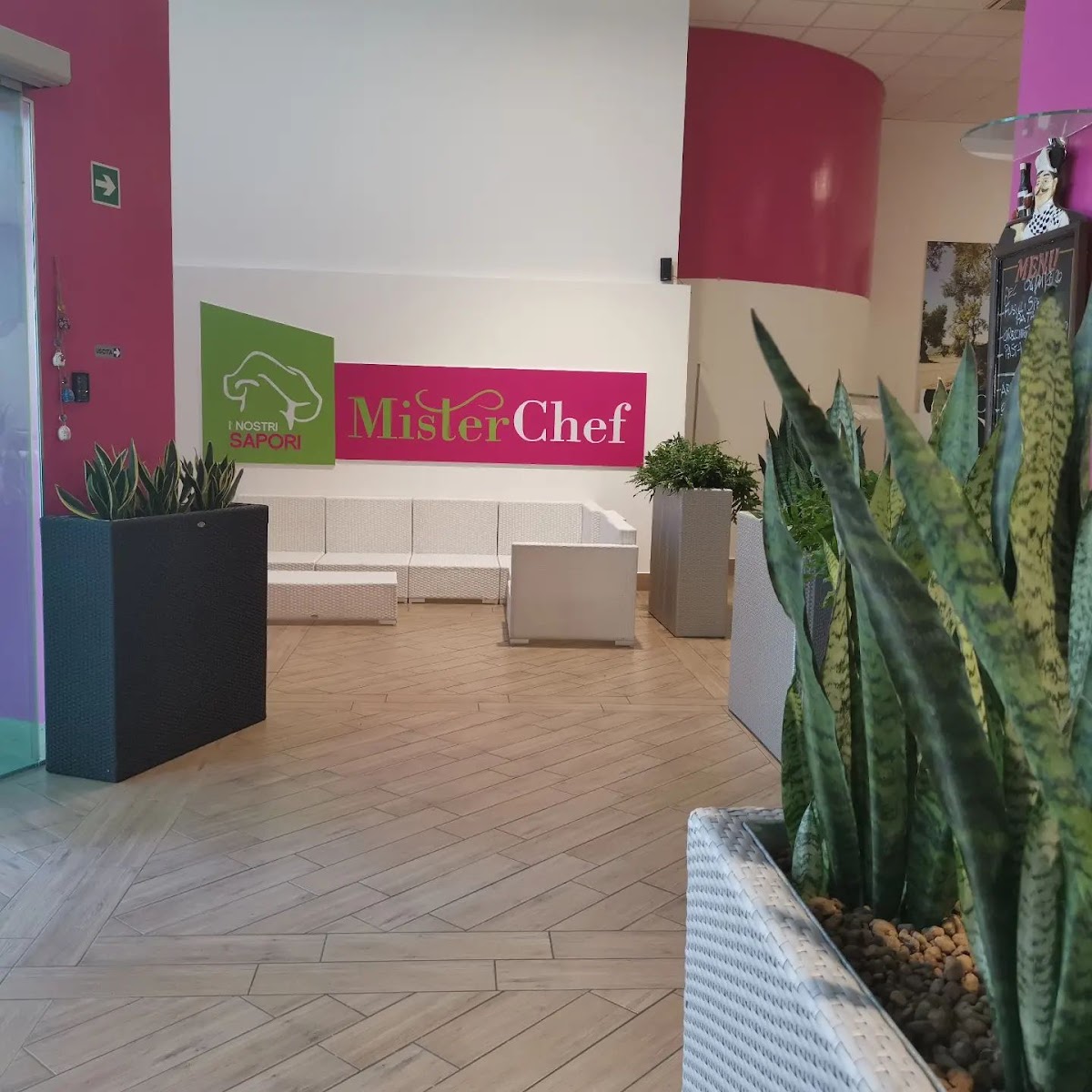 Mister Chef