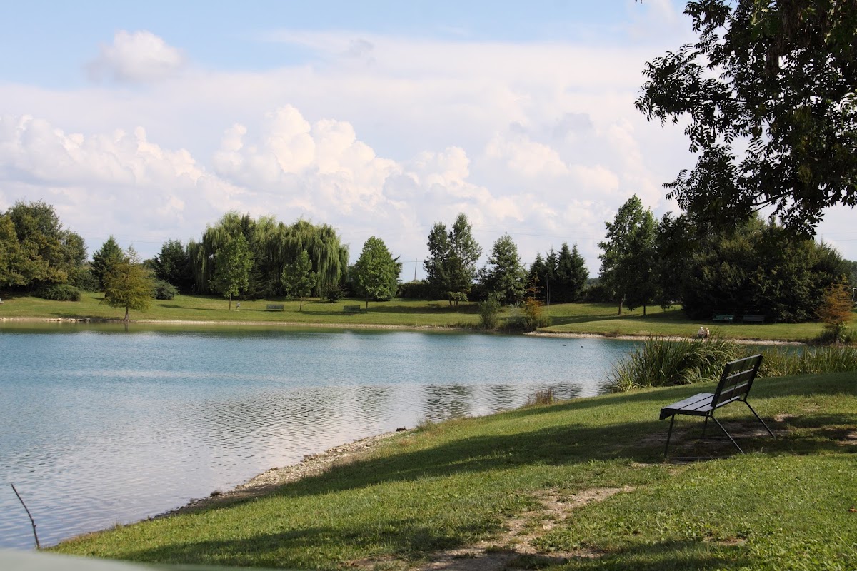 Foto 3 di Lago La Sirenetta