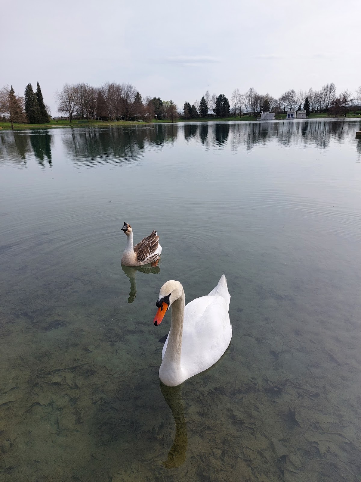 Foto 5 di Lago La Sirenetta