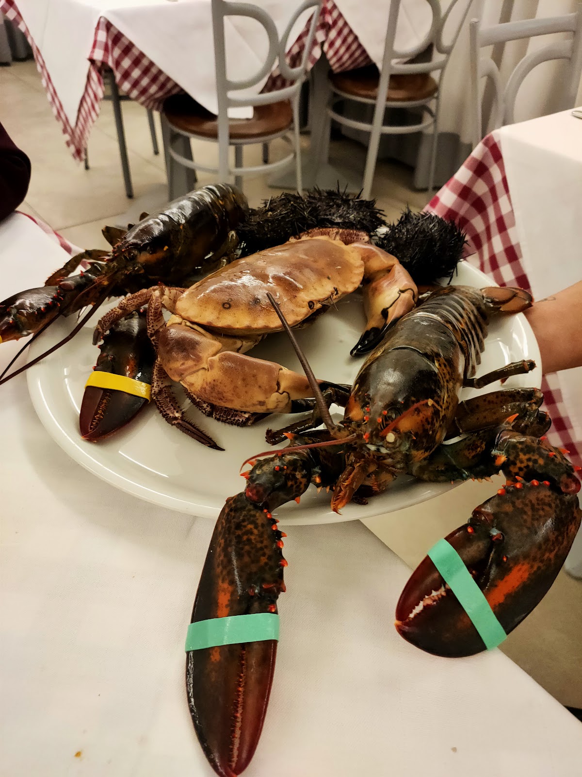Foto 5 di Ristorante pizzeria I PESCATORI