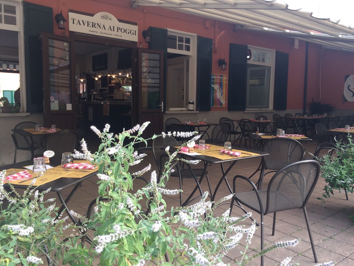 Foto 5 di Taverna ai Poggi